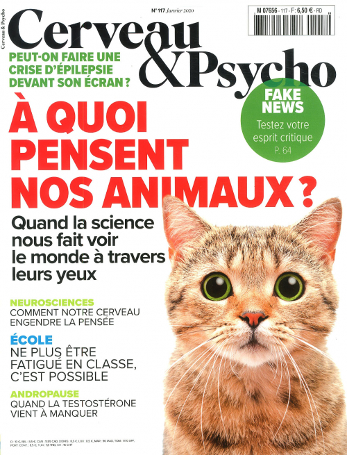 CERVEAU & PSYCHO