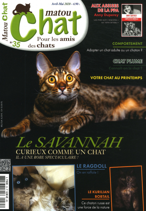 MATOU CHAT