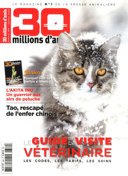 30 MILLIONS D'AMIS