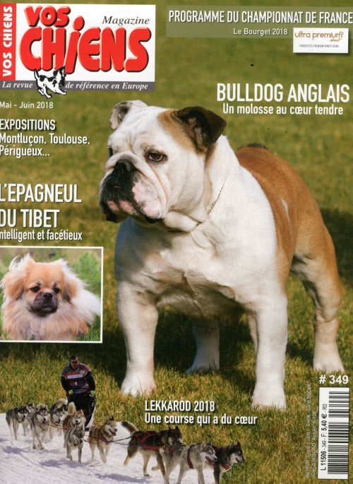 VOS CHIENS