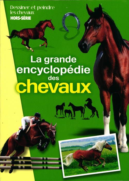 DESSINER LES CHEVAUX HS
