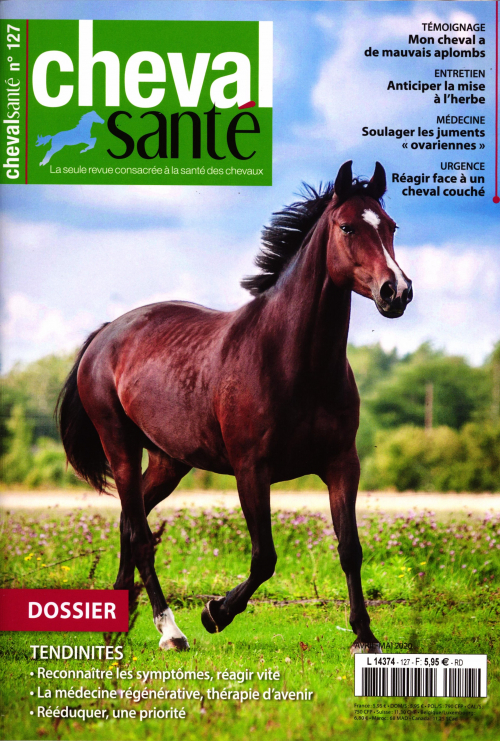 CHEVAL SANTÉ