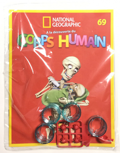 EY. À LA DECOUVERTE DU CORPS HUMAIN (6)