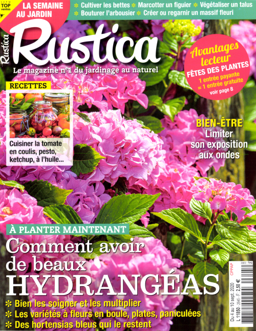RUSTICA