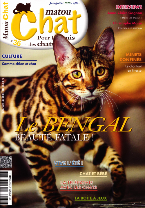 MATOU CHAT
