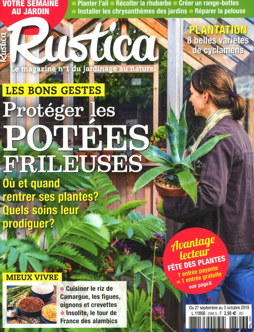 RUSTICA
