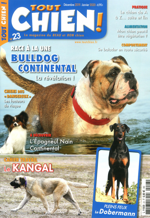 TOUT CHIEN!
