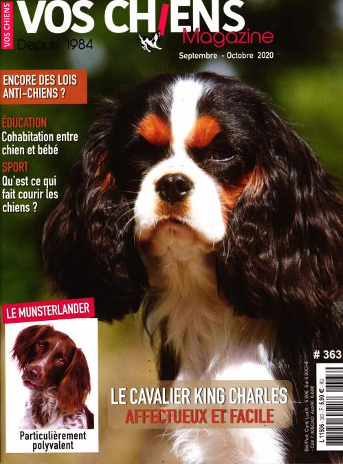 VOS CHIENS