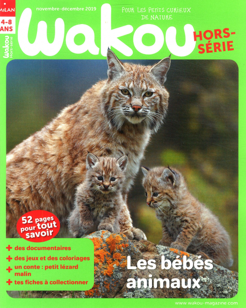 WAKOU HS