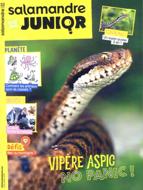 LA SALAMANDRE JUNIOR