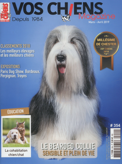 VOS CHIENS