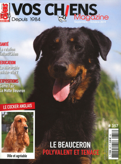 VOS CHIENS