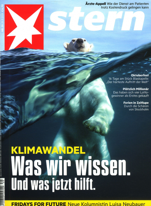 DER STERN (DEU)