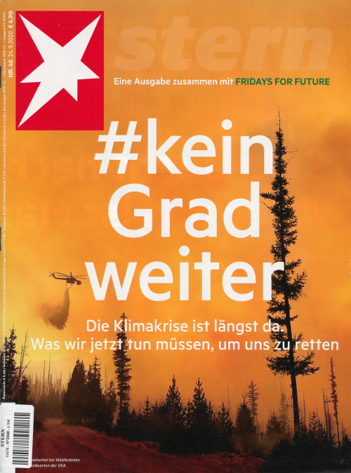 DER STERN (DEU)
