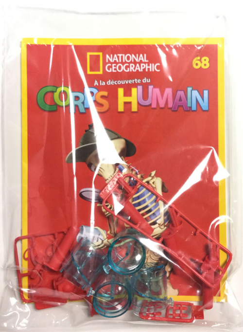 EY. À LA DECOUVERTE DU CORPS HUMAIN (6)