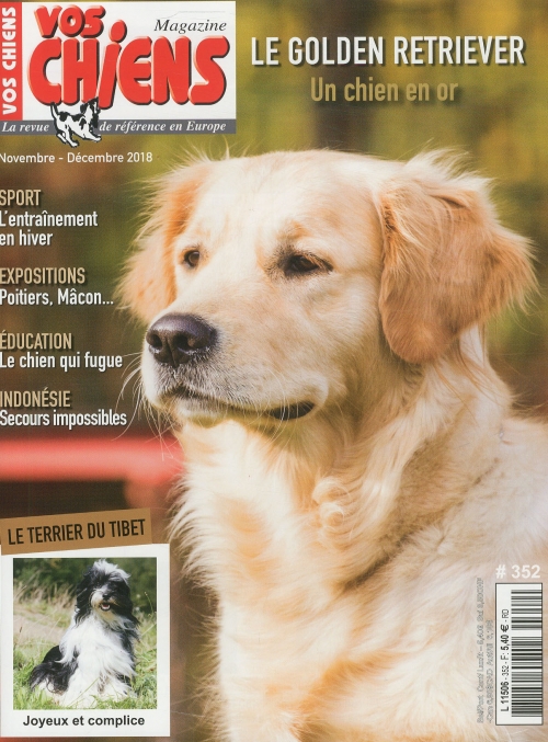 VOS CHIENS