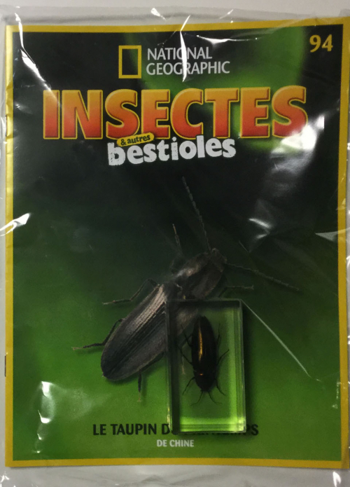 EY. INSECTES & AUTRES BESTIOLES (3)