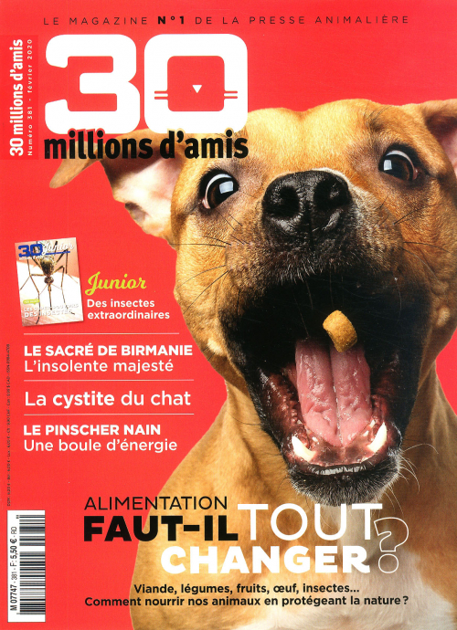 30 MILLIONS D'AMIS