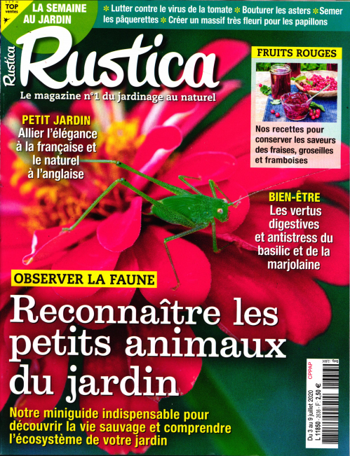 RUSTICA