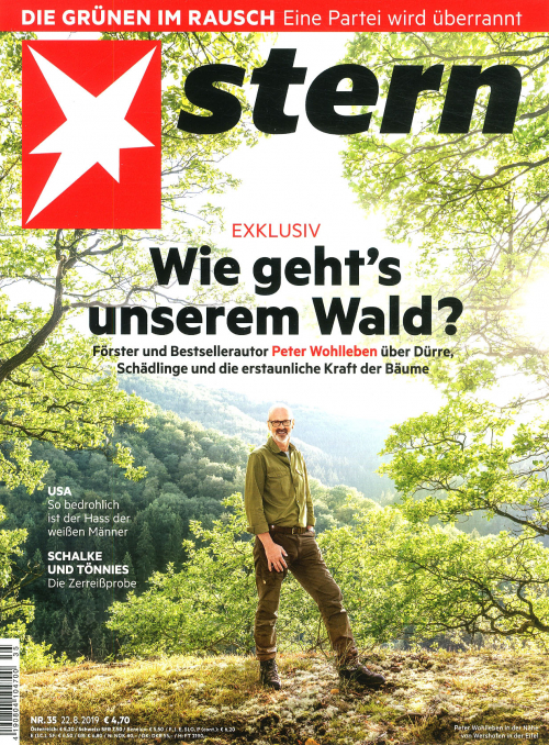 DER STERN (DEU)