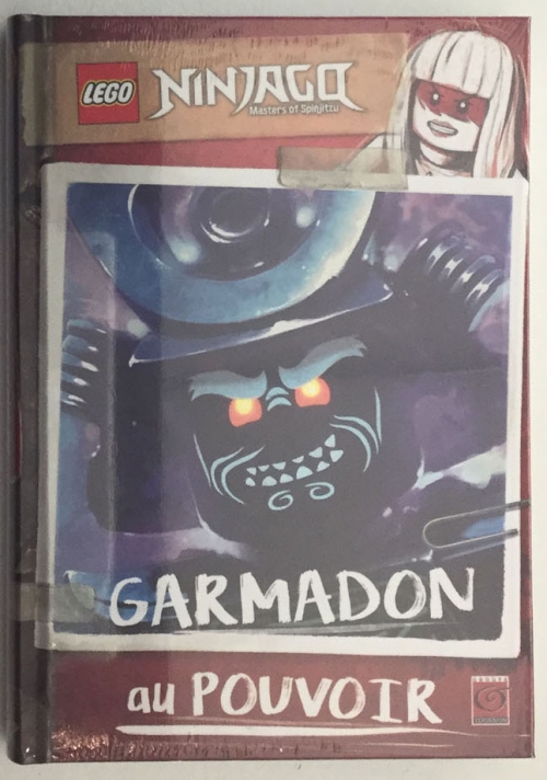GRAND LIVRE JEU LEGO