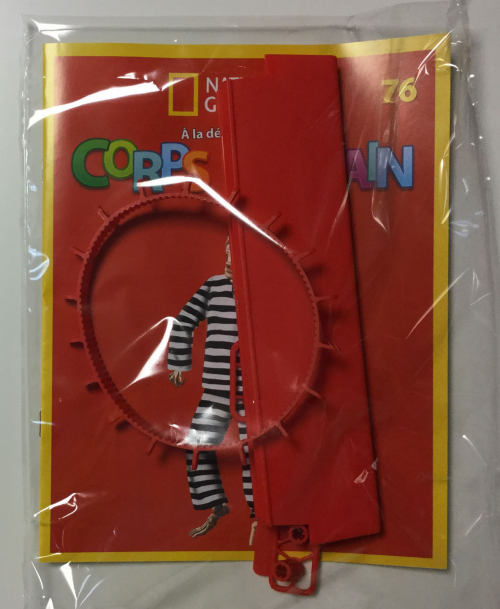 EY. À LA DECOUVERTE DU CORPS HUMAIN (6)