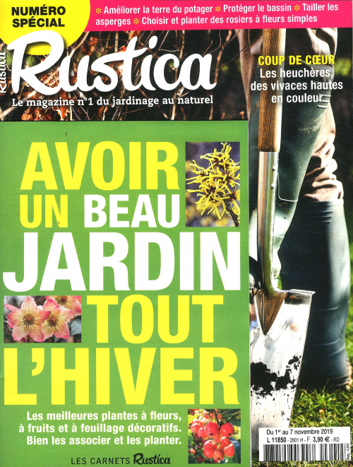 RUSTICA