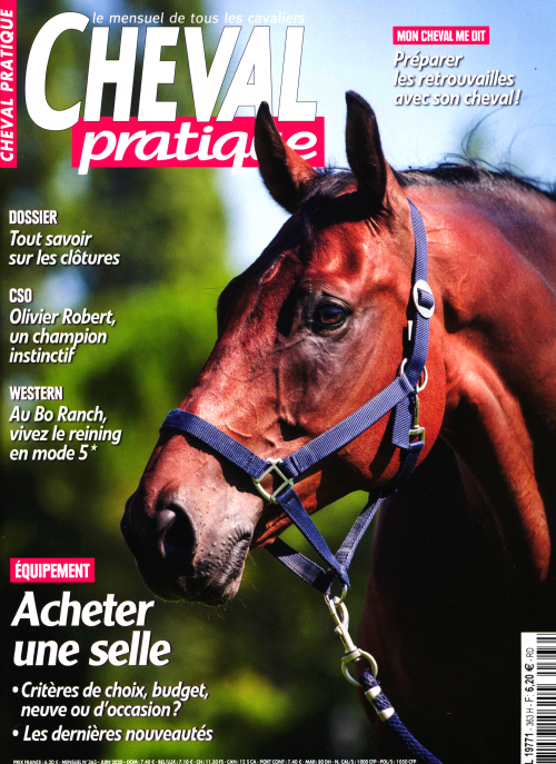 CHEVAL PRATIQUE