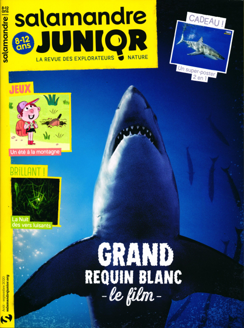 LA SALAMANDRE JUNIOR