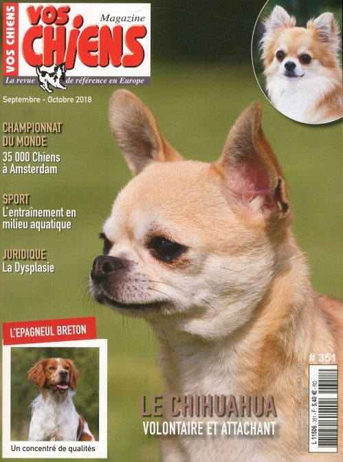 VOS CHIENS