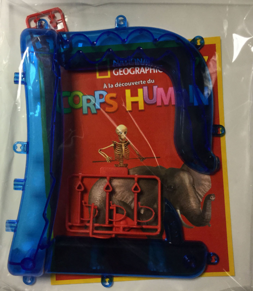 EY. À LA DECOUVERTE DU CORPS HUMAIN (6)
