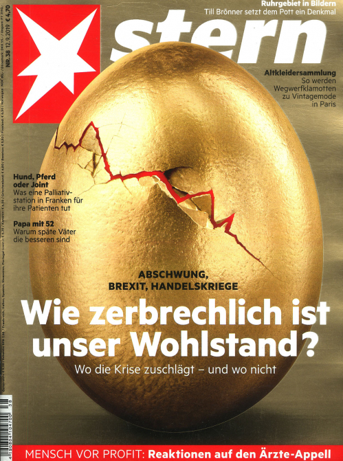 DER STERN (DEU)
