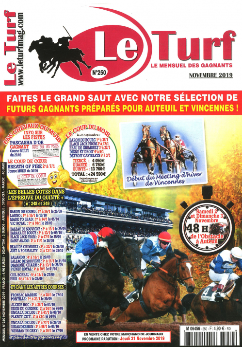 LE TURF