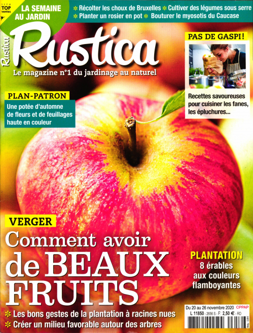 RUSTICA