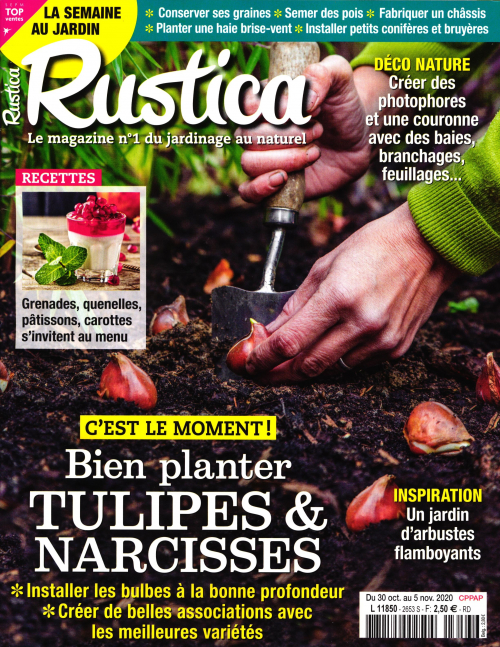 RUSTICA