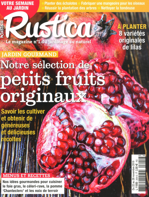 RUSTICA