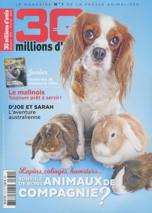 30 MILLIONS D'AMIS