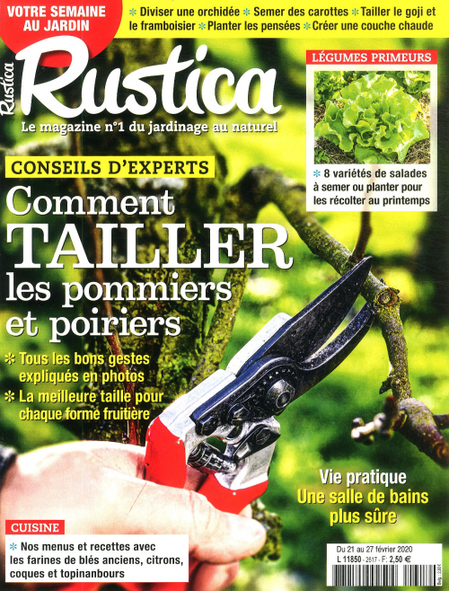 RUSTICA