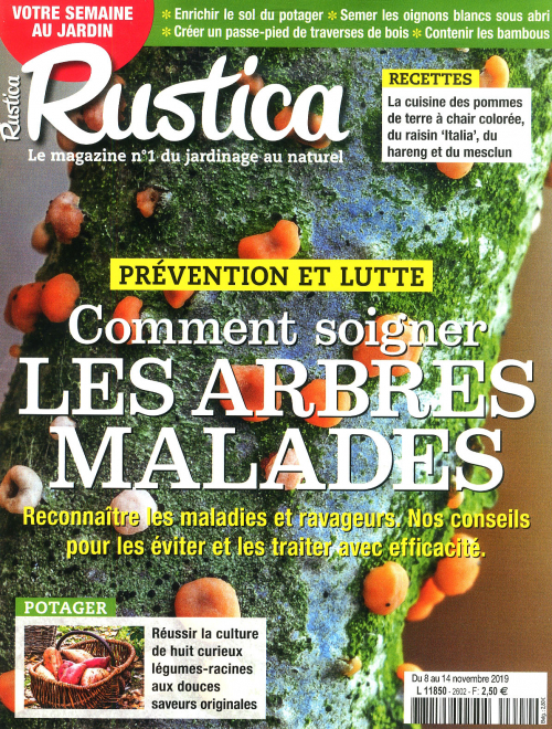 RUSTICA