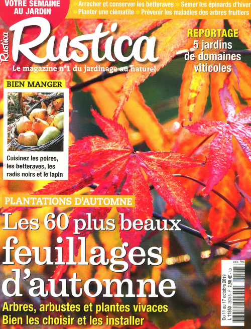 RUSTICA