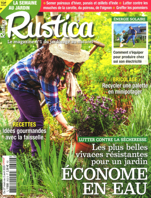 RUSTICA