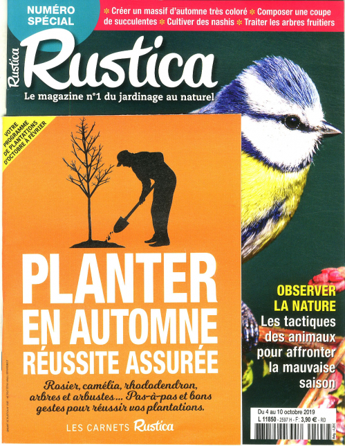 RUSTICA