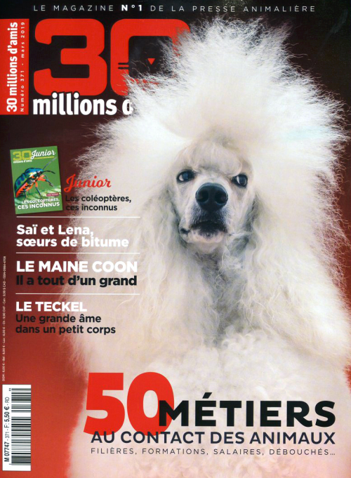 30 MILLIONS D'AMIS
