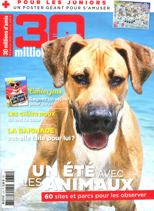 30 MILLIONS D'AMIS