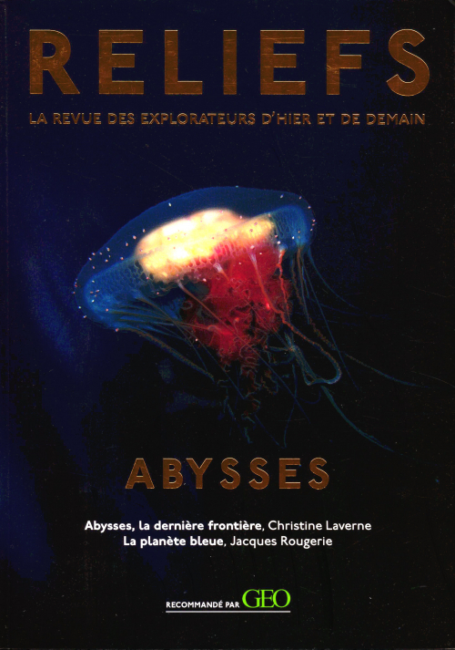 RELIEFS - LIVRE