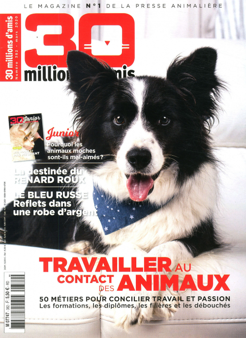 30 MILLIONS D'AMIS