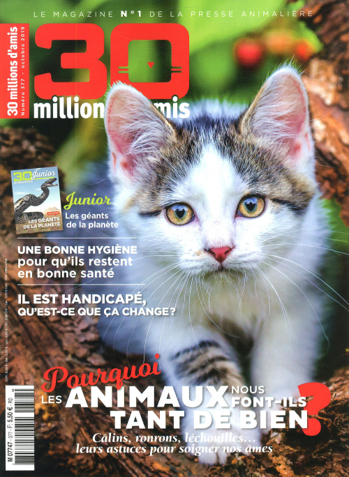 30 MILLIONS D'AMIS