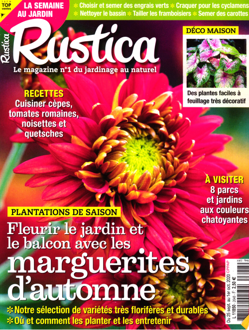 RUSTICA