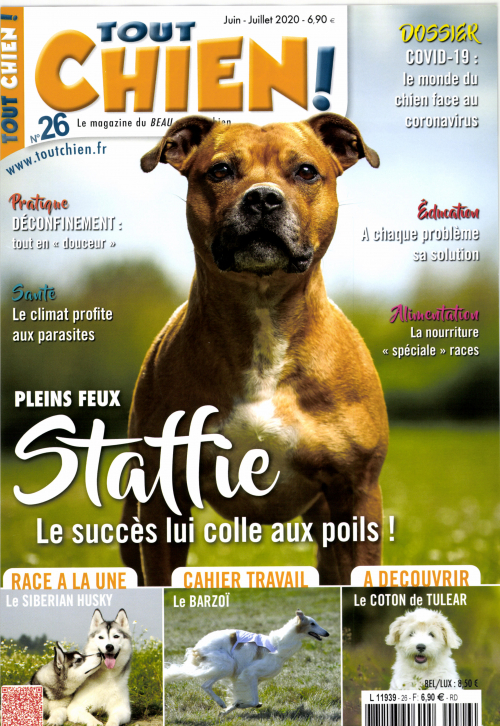 TOUT CHIEN!