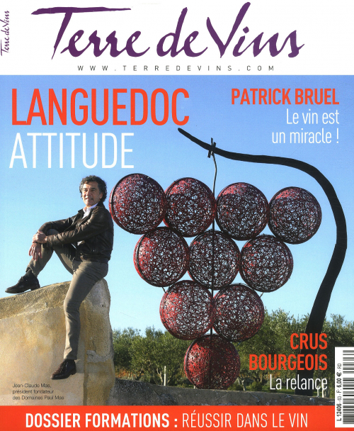 TERRE DE VINS